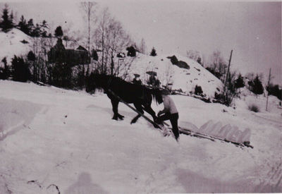Iskjøring
Iskjøring fra Øyeren, Degrum. 1930-årene
Keywords: iskjøring;mann;hest;degrum