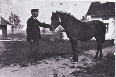 Hestebilde fra Krogsbøl
Hest og mann på Krogsbøl
Nøkkelord: hest;mann;krogsbøl