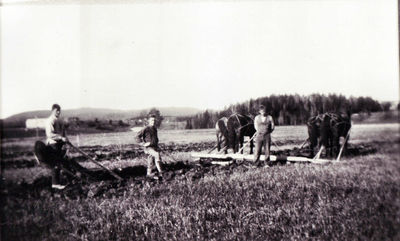 Grøfting med plog, Krogsbøl 1930 årene
Grøfting med grøfteplog trukket av 4 hester
Nøkkelord: grøfting;plog;grøfteplog;hester;menn;1930;krogsbøl