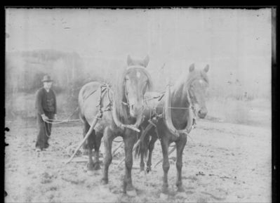 Landbruk 1900 - 10
Mann med 2 hester forspent jordbruksredskap. Bildet sterkt overeksponert.
Nøkkelord: mann;landbruk;hest;jorde;pløye;tre;trær;ute;jordbruk;jordbruksredskap;hester;hatt