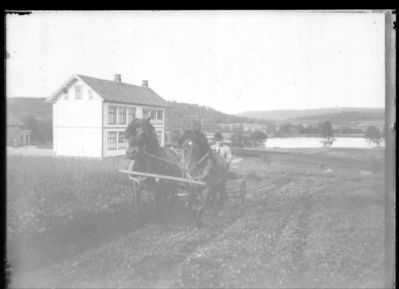 Landbruk 1900 - 10
Mann med 2 hester forspent slåmaskin. I ferd med å slå kløvereng.
Nøkkelord: landbruk;skole;hester;slåmaskin;mjær;hest;slåmaskin;kløvereng;jorde;hus;bygning;vann;mann;tre;trær