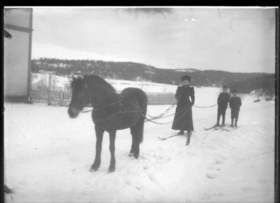 Vinter 1900 - 15
Kvinne og to barn snørekjører etter brun hest. Vinter. Bildet tatt utenfor Ytre Enebakk skole.
Nøkkelord: hest;vinter;kvinne;barn;ytre;skole;1900