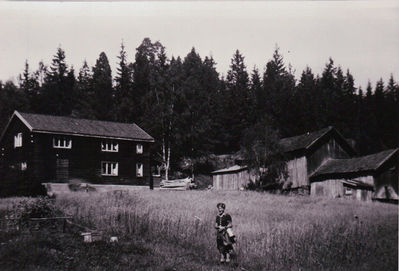 Gårdsbruk  Nylende 1950
Nylende Ytre Enebakk
Nøkkelord: gårdsbruk;nylende;ytre;enebakk;1950;dame;kvinne